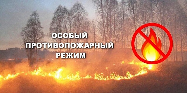 В Ростовской области власти запретили разведение костров